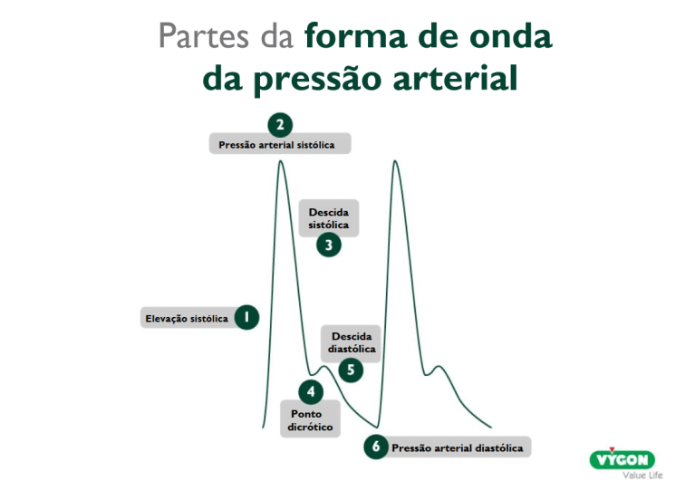 partes