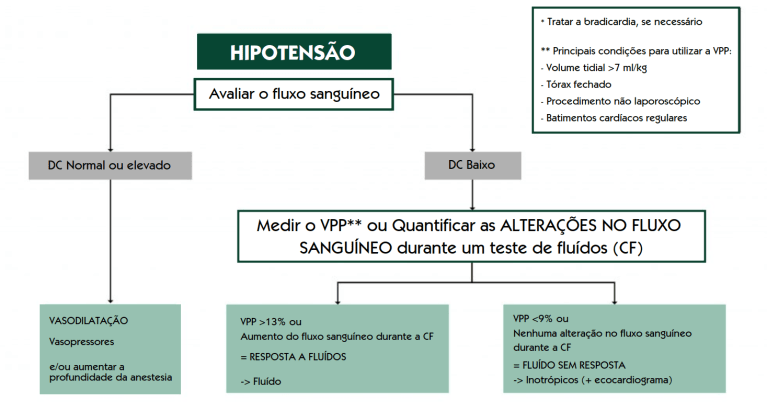 hemodinâmica