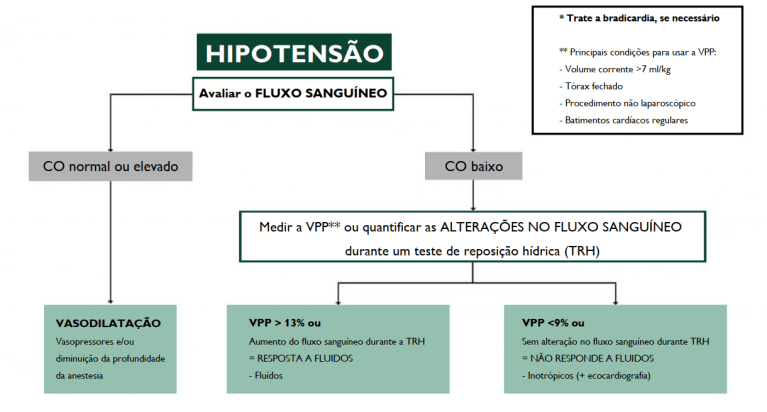 hipo